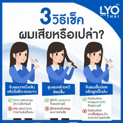 3 วิธี เช็คผมเสีย