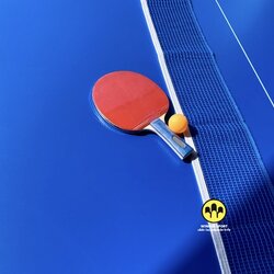 แผ่นไม้หน้าโต๊ะปิงปองอย่างดี กันน้ำ WINNER