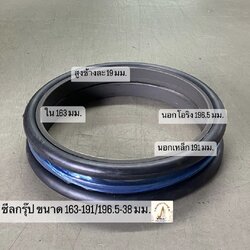 ซีลกรุ๊ปตัวเดิน ขนาด 163-191/196.5-38 มม.
