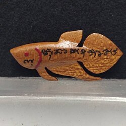 ปลากัด นะ มหาสำเร็จ หลวงปู่น่วม วัดโพธิ์ศรีเจริญ