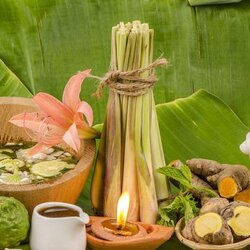 สมุนไพรไทย....สู่ผลิตภัณฑ์เอกลักษณ์ไทยของน้ำมันสมุนไพรไทยตราเทวดาใจดี