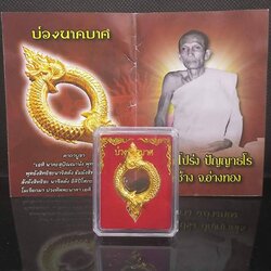 บ่วงนาคบาศ หรือ งูกลืนหาง หรือ บ่วงงู พระอธิการสมชาย อนาลโย วัดท่าช้าง