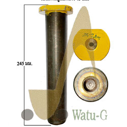 สลัก 45 X 245 (แปลนที/รูเกลียว)