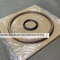 เพลทซีลกรุ๊ปตัวเดิน 216.15-245-9.8 มม. (PC 120-2)