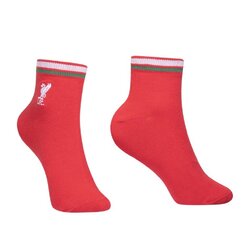 ถุงเท้า Liverpool FC Ankle Socks ‘Merry’