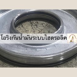 โอริงกันน้ำมันระบบไฮดรอลิค (nbr/viton)