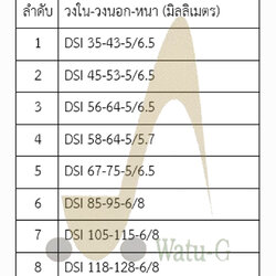 ซีลกันฝุ่น DSI