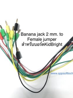 สาย Banana jack 2 มม. to จั้มเปอร์ตัวเมีย/ผู้ 1 pin ยาว 25 ซม. สำหรับบอร์ด Kidbright , micro bit 25CM.