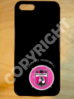 ทีม ชัยนาท FC