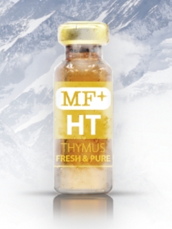 MF+ Thymus HT 500mg (PURE) (Swiss) Immune-Boosting Properties By Providing Support And Enhancement To The Thymus Gland ขนาดบรรจุ 4ml x 10 Vials