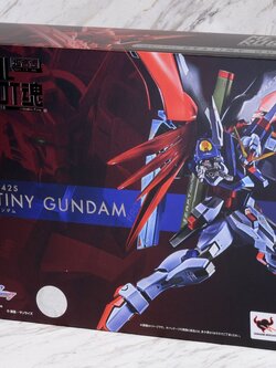 Metal Robot Spirits < Side MS > Destiny Gundam (Completed)