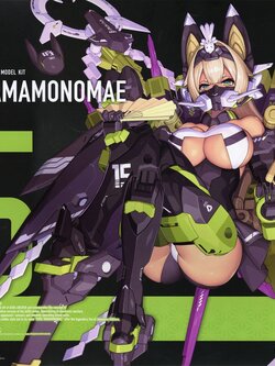 Asra Tamamonomae ( JP Lot )