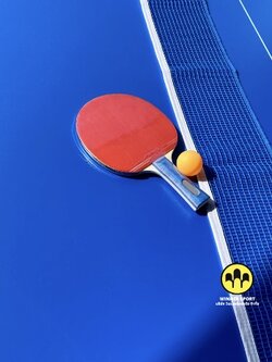 แผ่นไม้หน้าโต๊ะปิงปองอย่างดี กันน้ำ | WINNER