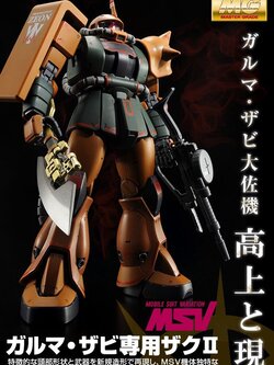 MG 1/100 MS-06FS ZAKU II (GARMA ZABI USE)