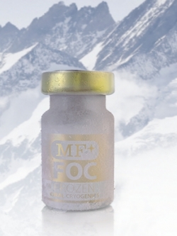 พร้อมส่ง MF+ FOC FRESH FROZEN CELL เซลล์สดแช่แข็ง ฟื้นฟูอวัยวะสำคัญเพื่อสุขภาพที่ดี