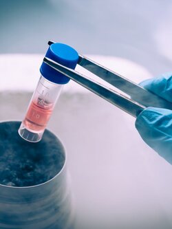 เสตมเซลล์ สำหรับร่างกายเพื่อสุขภาพ ( Live Cell Therapy )