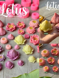 รวมแม่พิมพ์ดอกบัว ครบทุกแบบ หลายไซส์ ทำขนมได้