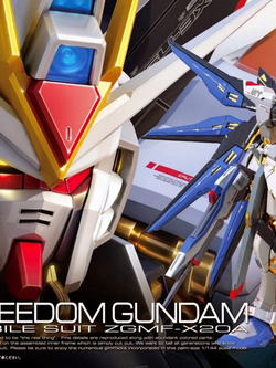 ZGMF-X20A Strike Freedom Gundam (RG)