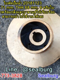 ใบพัดปั๊มน้ำ 20181123 OD 171 mm. THK 68 mm.