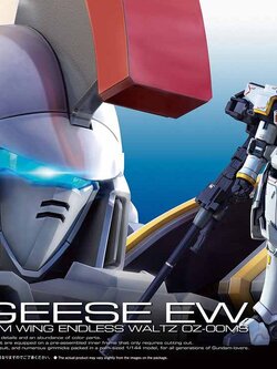 RG 1/144 TALLGEESE EW