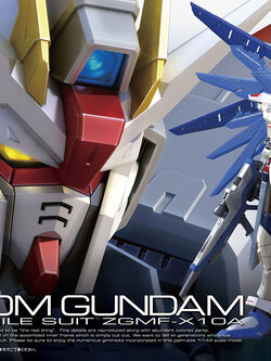 RG 1/144 FREEDOM GUNDAM