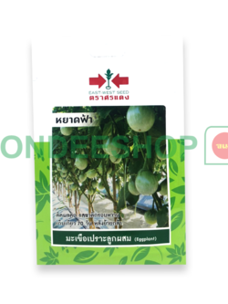 มะเขือเปราะ หยาดฟ้า #8858939711991