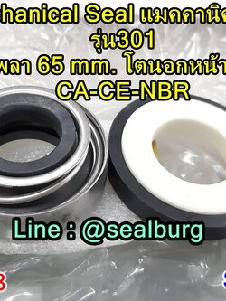 Mechanical Seal แมคคานิคอล ซีล : รุ่น301 : 65-110 CA-CE-NBR