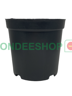 ชื่อสินค้า กระถาง 5 นิ้ว #3463