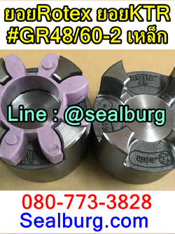 ยอยRotex ยอยKTR #GR48/60-2 เหล็ก