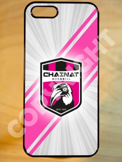 ทีม ชัยนาท FC