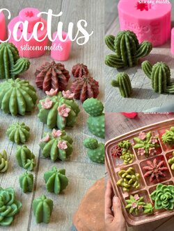 รวมแม่พิมพ์ 3D แคคตัส ตะบองเพชร 30 แบบ เหมือนจริง