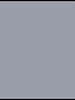 แกรนิตโต้เทาแกรนิต (YG600097)