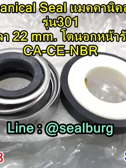 Mechanical Seal แมคคานิคอล ซีล : รุ่น301 : 22-45 CA-CE-NBR