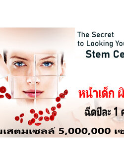 เสตมเซลล์ สำหรับผิวหน้า , ผิวกายทั่วร่าง ( Live Cell Therapy )