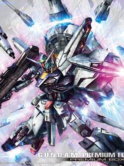 Providence Gundam G.U.N.D.A.M Premium Edition (MG)