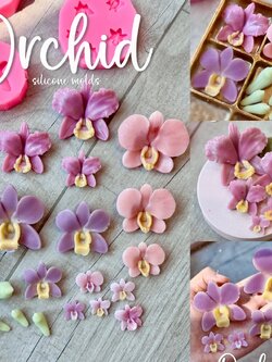 รวมแม่พิมพ์ ดอกกล้วยไม้ มีหลายไซส์ ทำขนมได้ ทำงานประดิษฐ์ได้