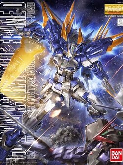 MG 1/100 GUNDAM ASTRAY BLUE FLAME D