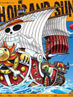 Thousand Sunny (Plastic model)