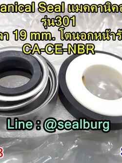 Mechanical Seal แมคคานิคอล ซีล : รุ่น301 : 19-42 CA-CE-NBR