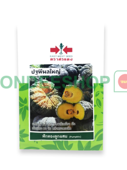 ฟักทองปฐพีผลใหญ่ #8858939712127