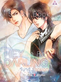 Hey Darling จีบจริงขอบอก!