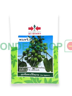 มะเขือพวงไร้หนามพวงขจี #8858939701336