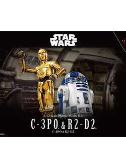 1/12 C-3PO & R2-D2