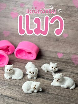 แม่พิมพ์ขนม แมว สามมิติ สำหรับทำขนม DIY