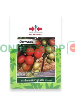 มะเขือเทศเม็ดพลอย #8858939712400