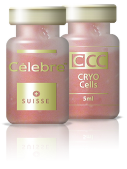 Célebre CRYO CELL (CCC) 1 vials CCC Live 34million cells FROZEN (LIVE)