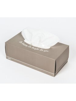 กระดาษเช็ดหน้า RiverPro Facial Tissue 170 Sheets