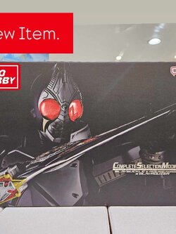 CSM BLAYBUCKLE & ROUSEABSORBER & BLAYROUZER