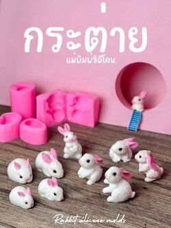 รวมแม่พิมพ์ขนม กระต่าย น่ารักทุกลาย 3มิติ