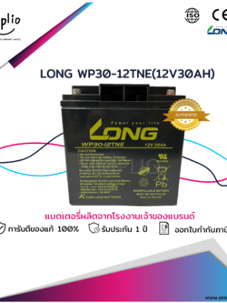 Long Battery WP30-12TNE (12V 30AH ทรงสูง) แบตเตอรี่แห้ง VRLA (แบตแห้ง)